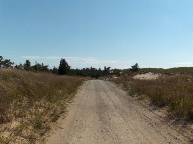 headingbackviathepathslightlyinland.jpg