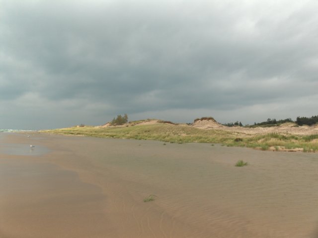 pristineanddeserted.jpg
