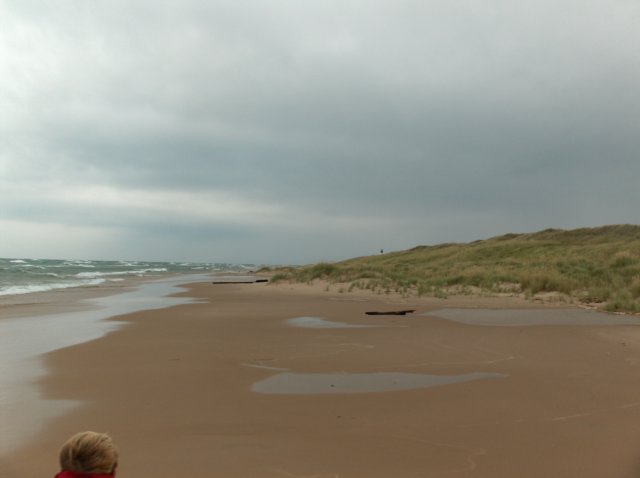 whatsthatinthedistancepeekingoverthedune.jpg