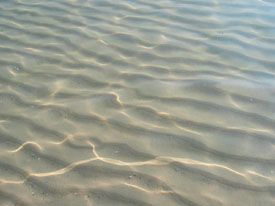 Crystal clear water.